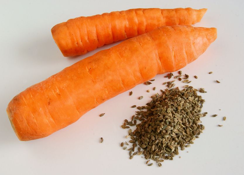 Как сажать семена морковки в грунт