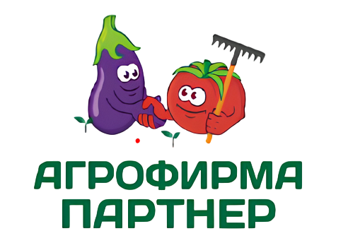 Партнер