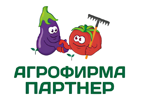 Партнер
