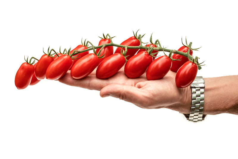 Партнер Томат ЧЕРРИ ВАШЕ БЛАГОРОДИЕ F1 ^(5шт) 2-ной пак, изображение 1