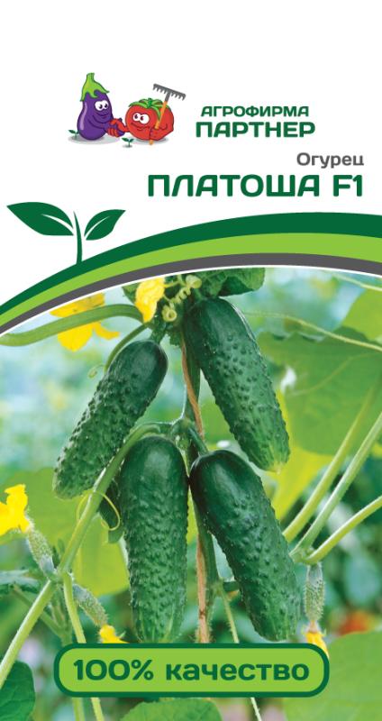 Партнер Огурец ПЛАТОША F1 ^(5шт), изображение 0