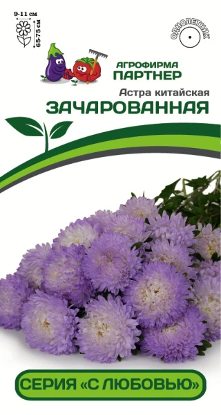 Партнер Астра китайская ЗАЧАРОВАННАЯ ^(5шт в амп)