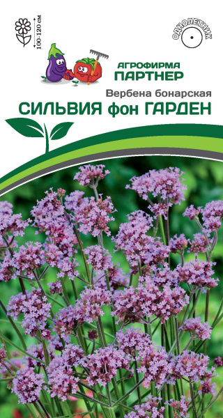 Партнер Вербена бонарская СИЛЬВИЯ фон ГАРДЕН ^(10шт в амп)