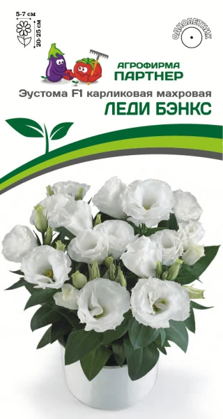 Партнер Эустома F1 карликовая махровая ЛЕДИ БЭНКС ^(5шт в амп)
