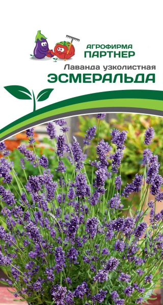 Партнер Лаванда узколистная ЭСМЕРАЛЬДА ^(0,05г в амп)