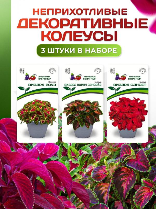 Партнер Набор цветов ДЕКОРАТИВНЫЕ КОЛЕУСЫ^ (1шт)