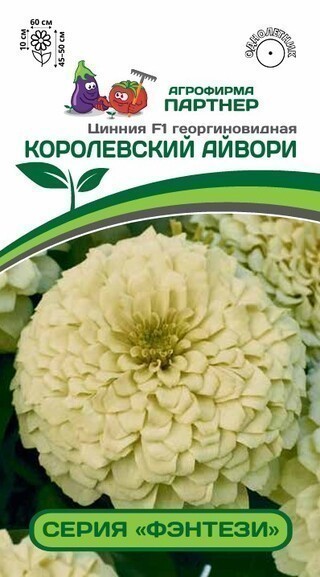 Партнер Цинния F1 КОРОЛЕВСКИЙ АЙВОРИ / георгиновидная ^(4шт) 