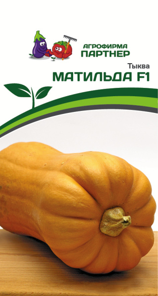 Партнер Тыква МАТИЛЬДА F1 ^(5шт)