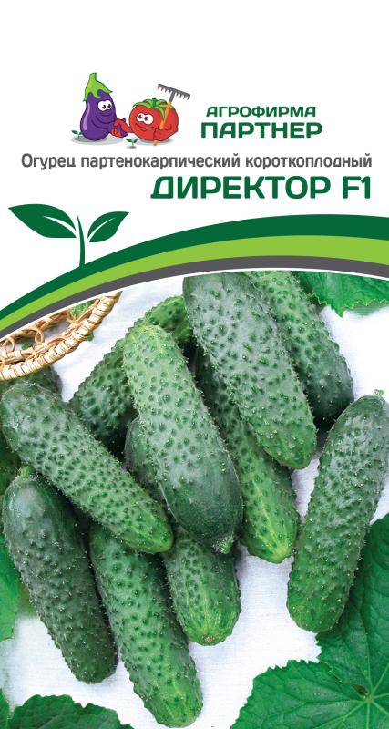 Партнер Огурец ДИРЕКТОР F1 ^(5шт)