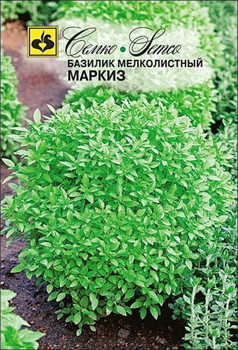Семко Базилик зеленый МАРКИЗ ^(0,5г) фото, описание
