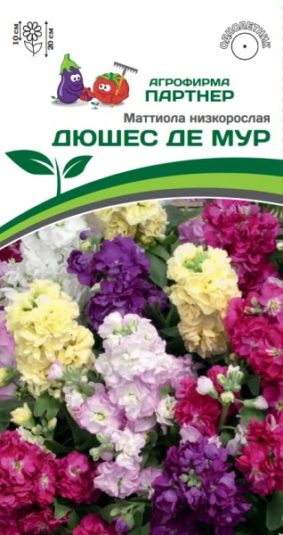 Партнер Маттиола низкорослая ДЮШЕС ДЕ МУР^(10шт) 2-ной пак