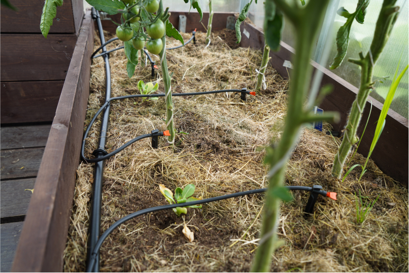 Капельный полив Жук от емкости с регулируемыми капельницами на 30 растений, изображение 6