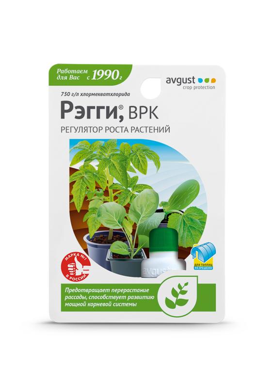 Avgust Рэгги 10мл, изображение 0