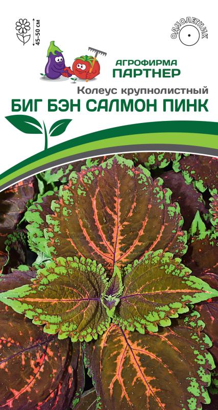 Партнер Колеус БИГ БЭН САЛМОН ПИНК / шлемниковидный ^(5шт в амп)
