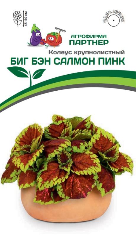 Партнер Колеус БИГ БЭН САЛМОН ПИНК / шлемниковидный ^(5шт в амп)