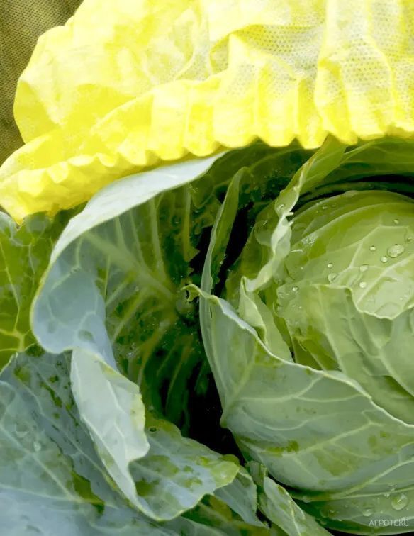 Агротекс Комплект для Капусты, изображение 2