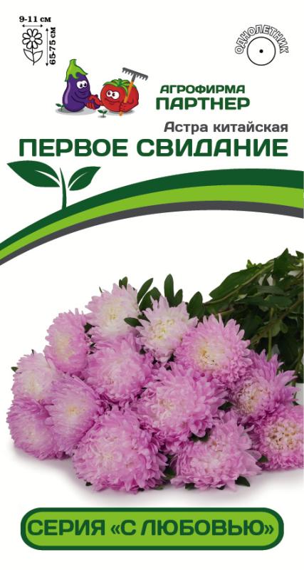 Партнер Астра китайская ПЕРВОЕ СВИДАНИЕ ^(5шт в амп)