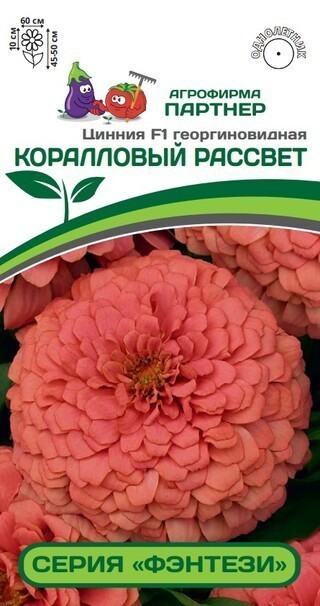 Партнер Цинния F1 КОРАЛЛОВЫЙ РАССВЕТ / георгиновидная ^(4шт)