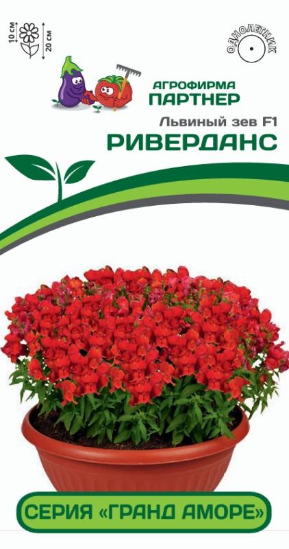 Партнер Львиный зев F1 низкорослый крупноцветковый "Гранд Аморе" РИВЕРДАНС^(10шт) 2-ной пак