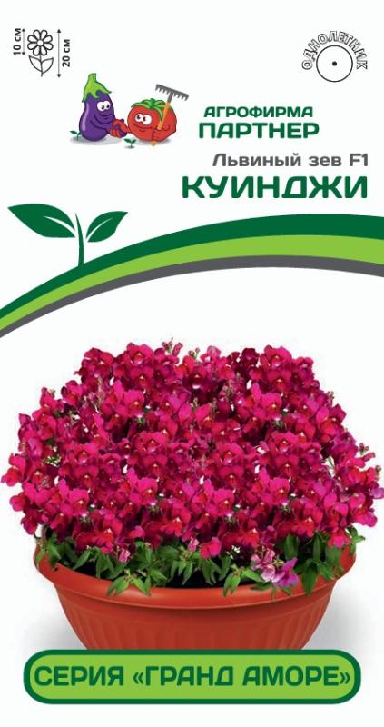 Партнер Львиный зев F1 низкорослый крупноцветковый "Гранд Аморе" КУИНДЖИ ^(10шт) 2-ной пак