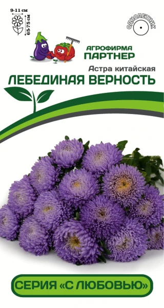 Партнер Астра китайская ЛЕБЕДИНАЯ ВЕРНОСТЬ ^(5шт в амп)