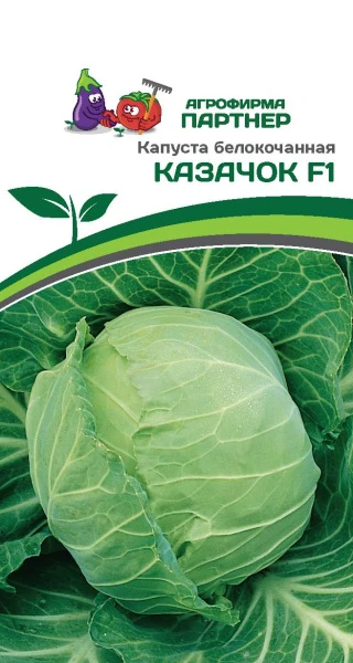 Партнер Капуста б/к КАЗАЧОК F1 ^(0,3г)