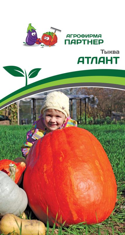 Партнер Тыква АТЛАНТ ^(10шт)