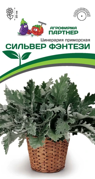 Партнер Цинерария Приморская СИЛЬВЕР ФЭНТЕЗИ^(15шт в амп)