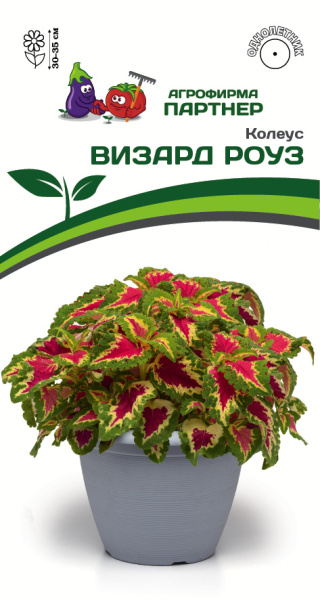 Партнер Колеус ВИЗАРД РОУЗ / шлемниковидный ^(10шт) 2-ной пак