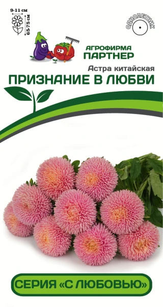 Партнер Астра китайская ПРИЗНАНИЕ В ЛЮБВИ (5шт в амп)