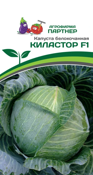 Партнер Капуста б/к КИЛАСТОР F1 ^(10шт в амп), изображение 0