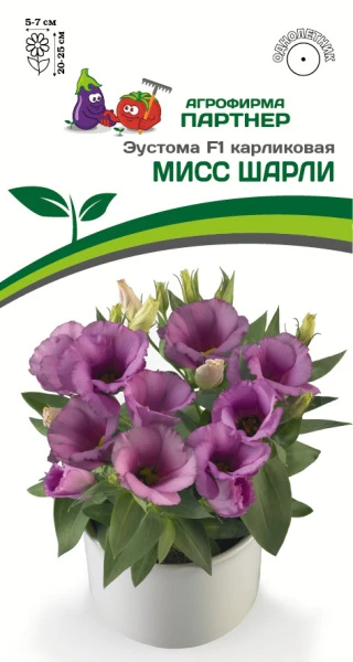 Партнер Эустома F1 карликовая МИСС ШАРЛИ ^(5шт в амп)