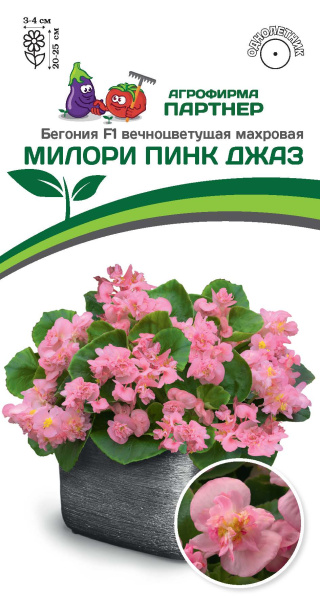 Партнер Бегония F1 вечноцветущая махровая МИЛОРИ ПИНК ДЖАЗ ^(5шт в амп)