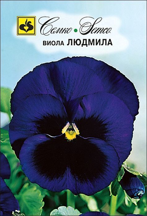 Семко Цветы Виола ЛЮДМИЛА ^(0,1г) фото, описание