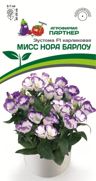 Партнер Эустома F1 карликовая МИСС НОРА БАРЛОУ ^(5шт в амп)