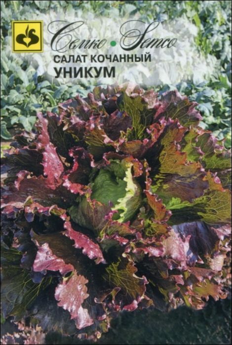 Семко салат кочанный УНИКУМ ^(0,5г) фото, описание