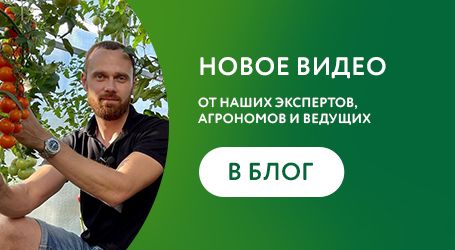Магазин Семь Семян Татьяны Урожайный Огород