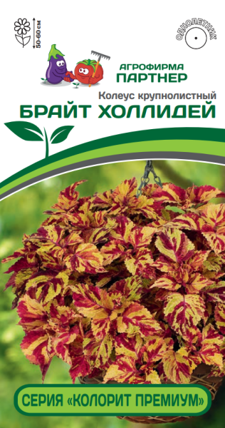 Партнер Колеус серия "КОЛОРИТ ПРЕМИУМ" БРАЙТ ХОЛЛИДЕЙ / шлемниковидный ^(5шт) 2-ной пак