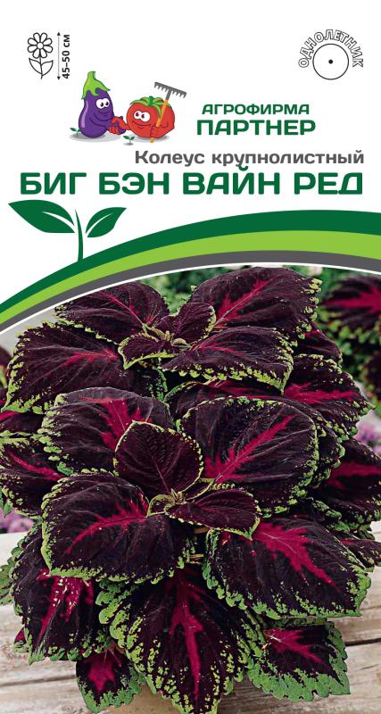 Партнер Колеус БИГ БЭН ВАЙН РЕД / шлемниковидный ^(5шт в амп)