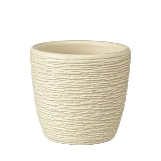 Кашпо "Гнездо" шампань крокус mini, 150 мл