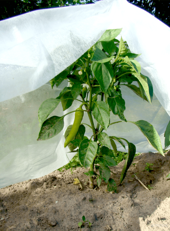 Агротекс 30 (3,2*10м), изображение 3