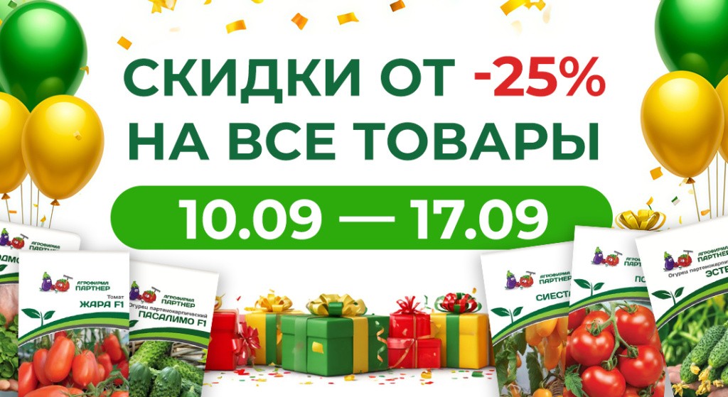 Баннер_Акция_ДР.jpg