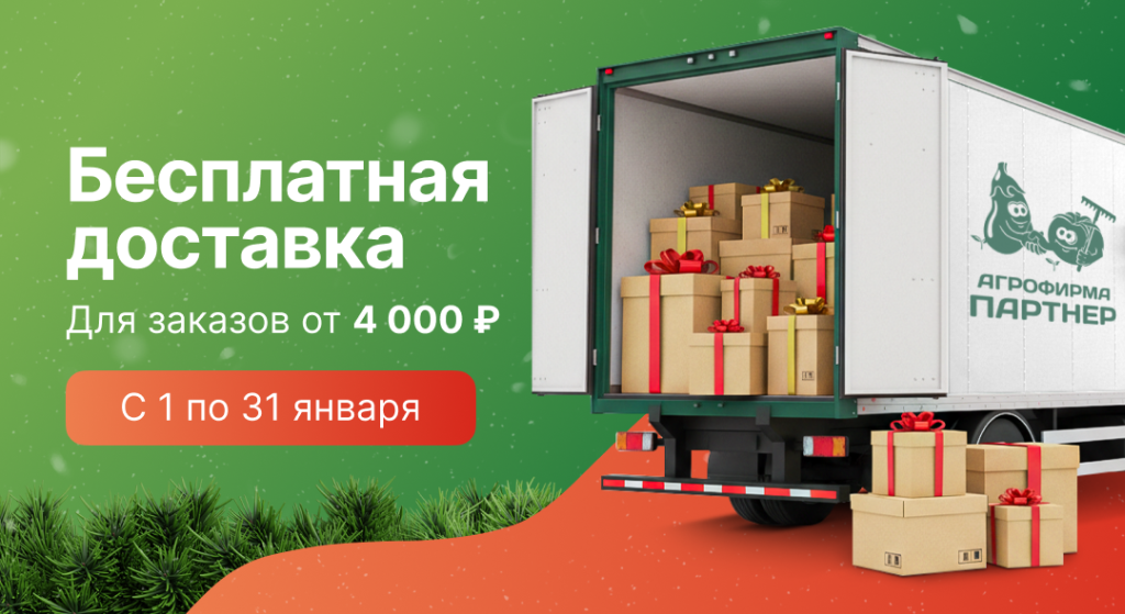 1080x590 Бесплатная доставка.png 1080x590 Бесплатная доставка.png