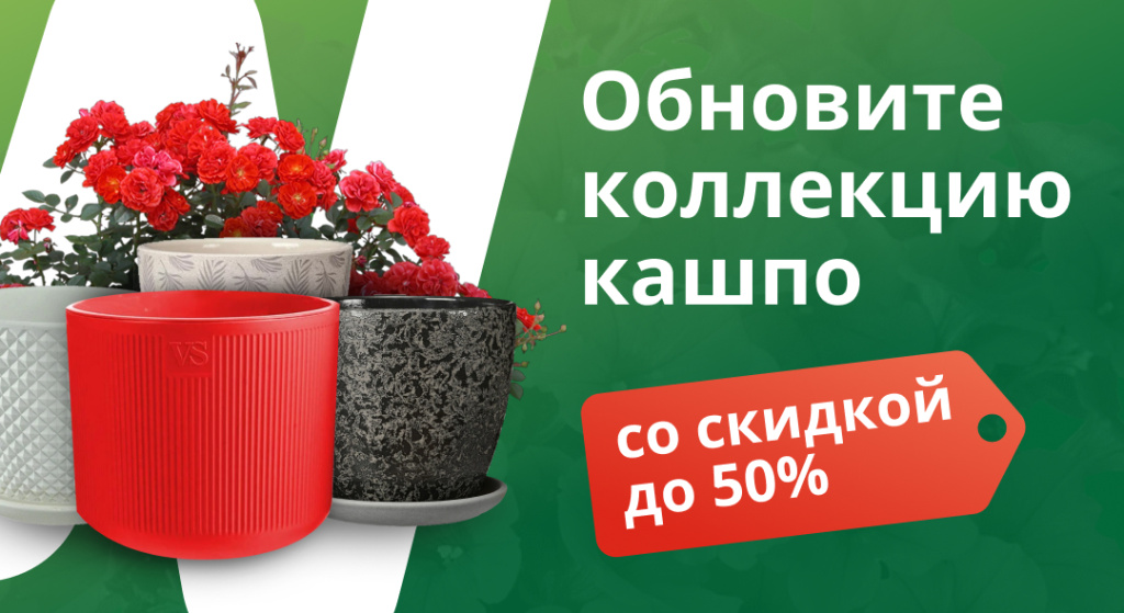 Б6 - Скидка на горшки 50 1.jpg