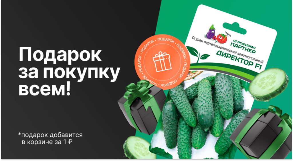 1080x590 Подарок всем.png