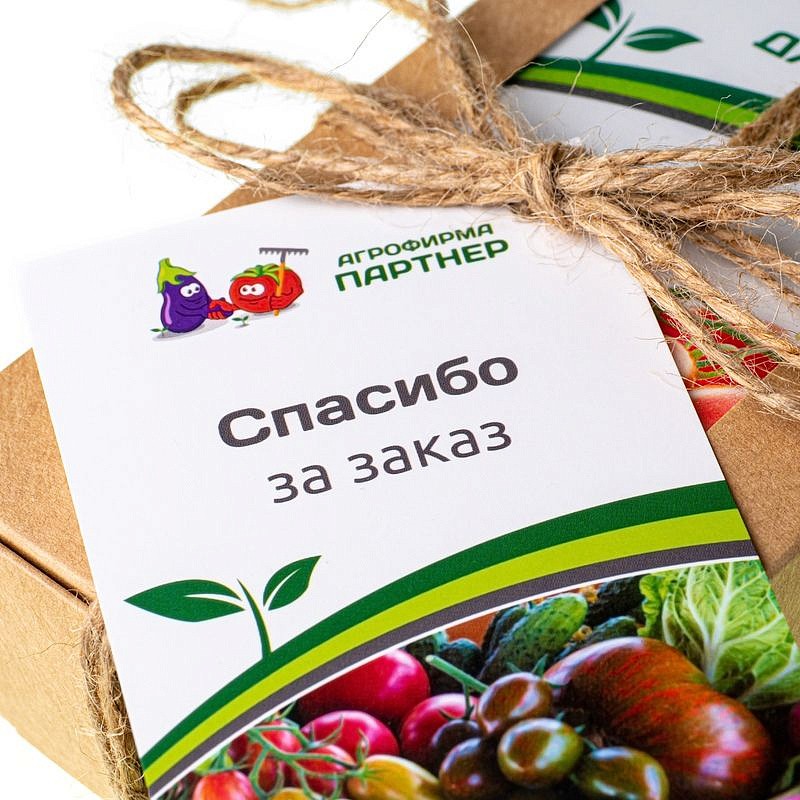 Овощной набор «Урожайный огород» от Татьяны Щедриной, изображение 6