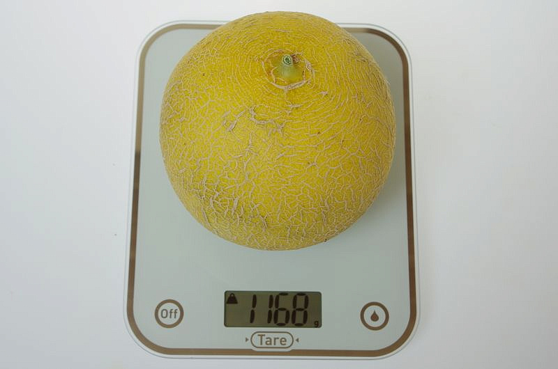 Партнер Дыня АМИНА F1 ^(5шт), изображение 1