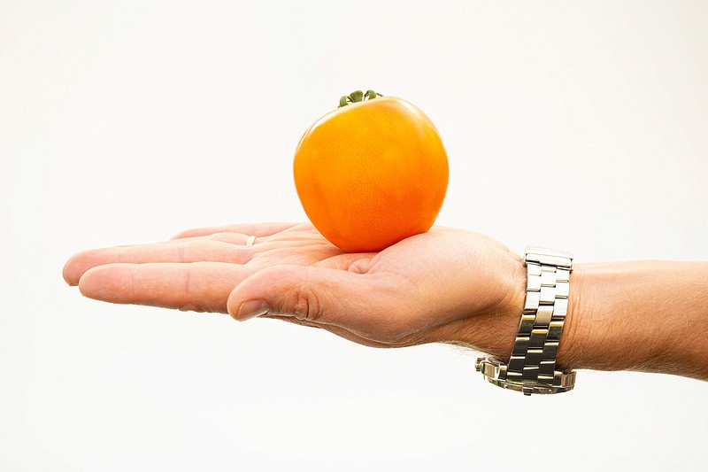 Партнер Томат ОРАНЖЕВАЯ МАМА F1 ^(0,05г) 2-ной пак, изображение 5