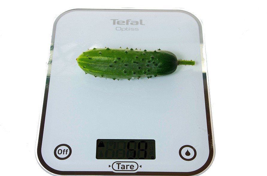 Партнер Огурец ЛАСТОЧКА F1 ^(1г), изображение 3