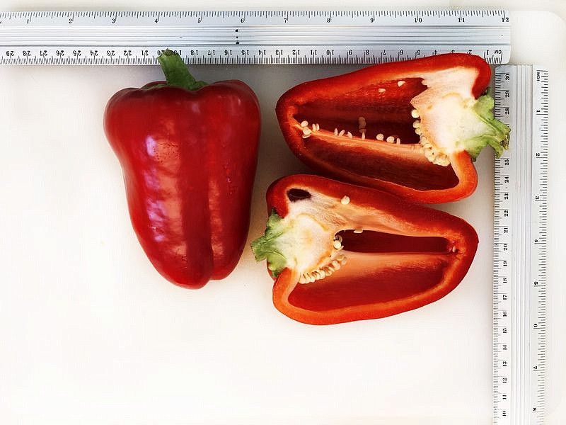 Партнер Перец РЕГОР F1 ^(5шт) 2-ной пак, изображение 2